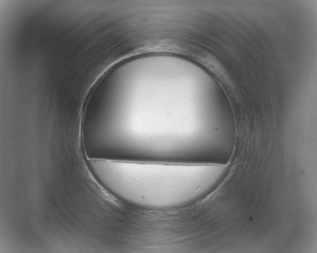 X0000071761228200606300907