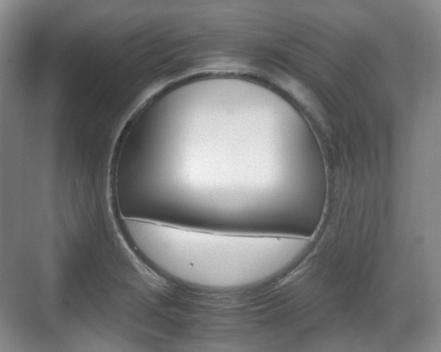 X0000071761229200606300907