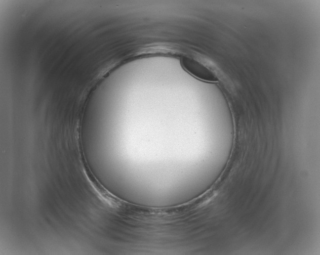 X0000071761233200606300907