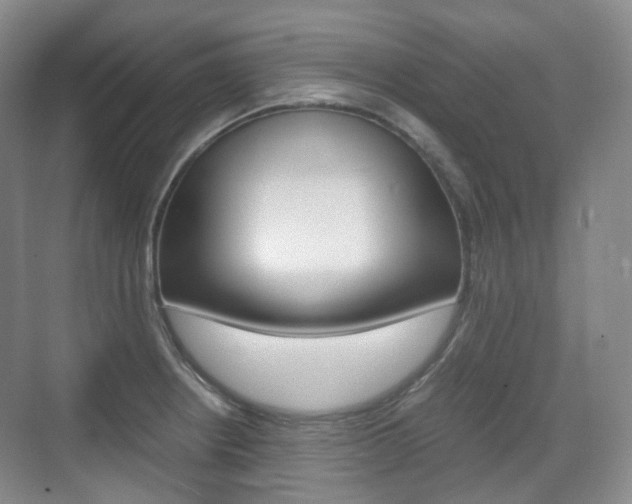 X0000071761234200606300907