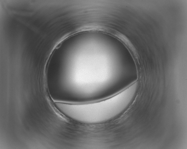 X0000071761242200606300908