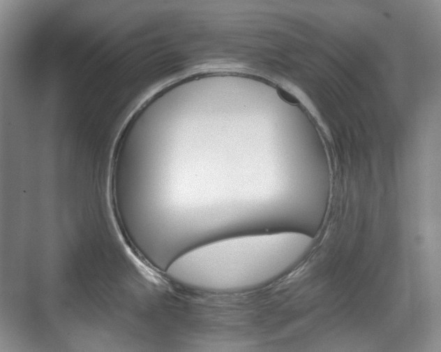 X0000071761245200606300908