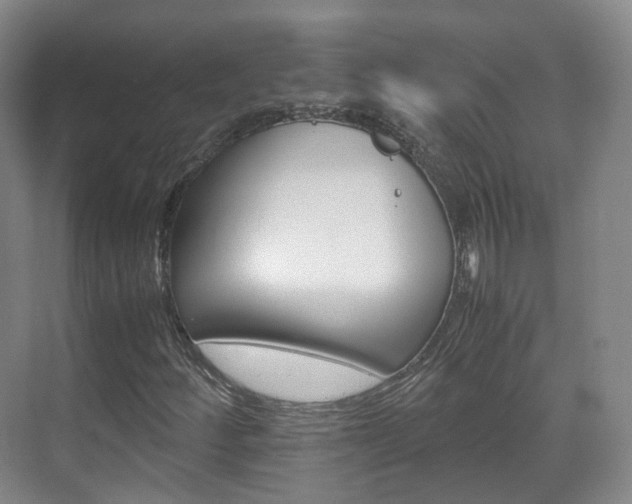 X0000071761252200606300907