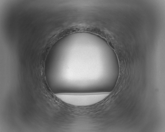 X0000071761253200606300907