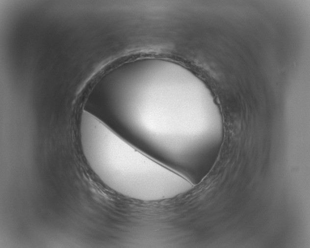 X0000071761256200606300907