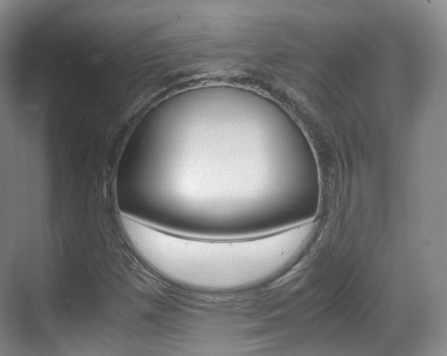 X0000071761257200606300907