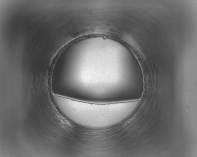 X0000071761260200606300907