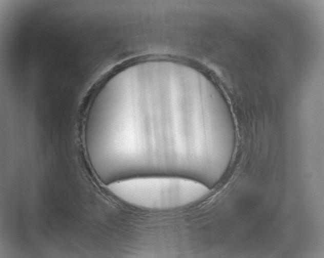 X0000071761263200606300907