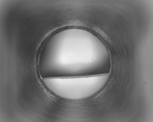 X0000071761264200606300907