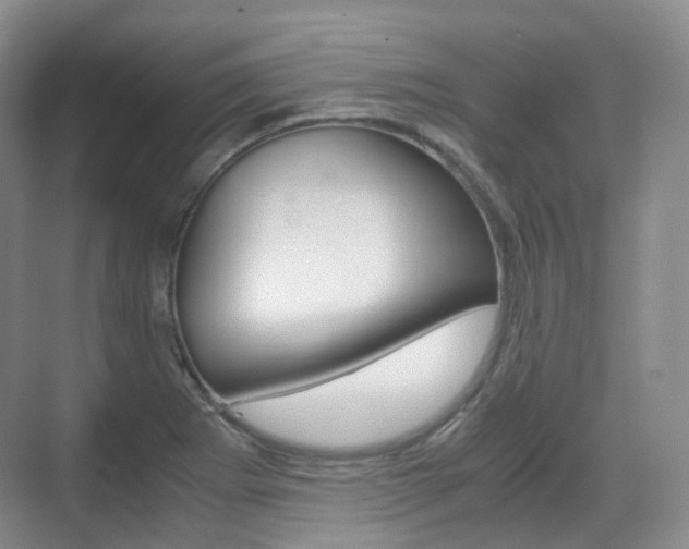 X0000071761273200606300906