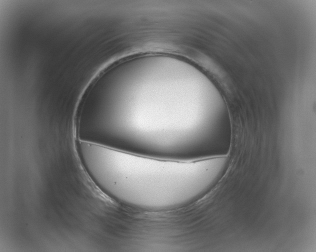 X0000071761280200606300906