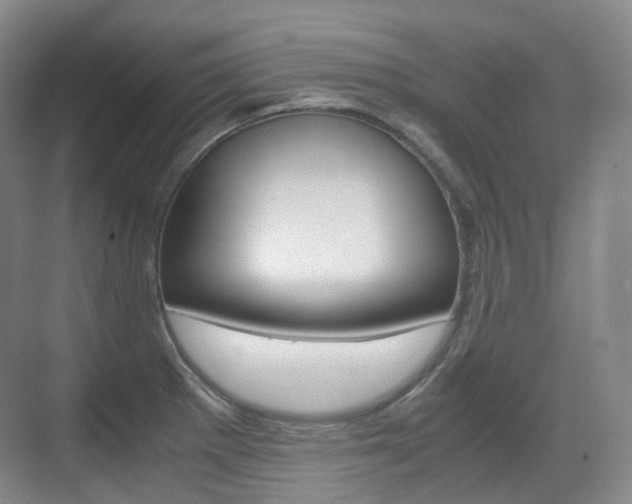 X0000071761281200606300906