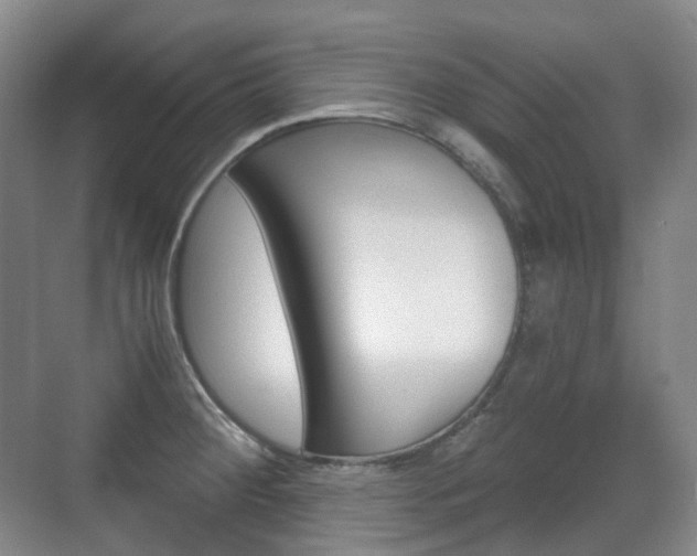 X0000071761284200606300906