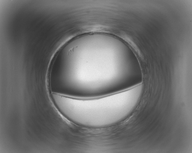 X0000071761285200606300906