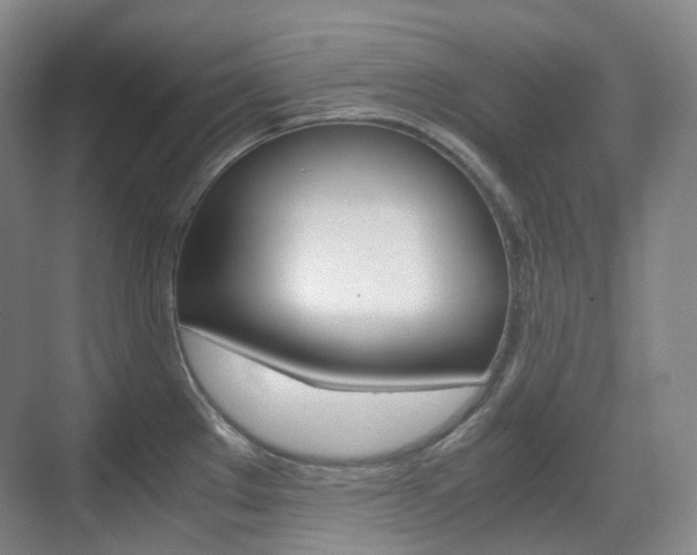 X0000071761289200606300906