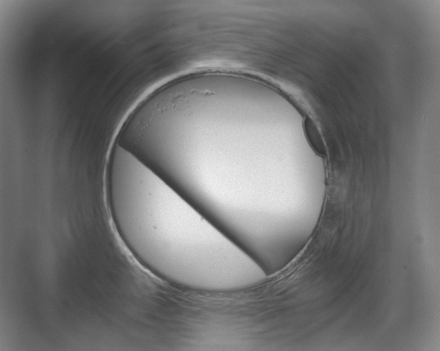 X0000071761295200606300906