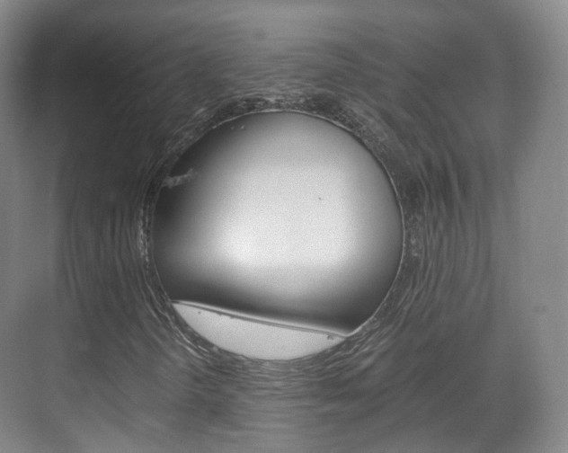 X0000071761298200606300905