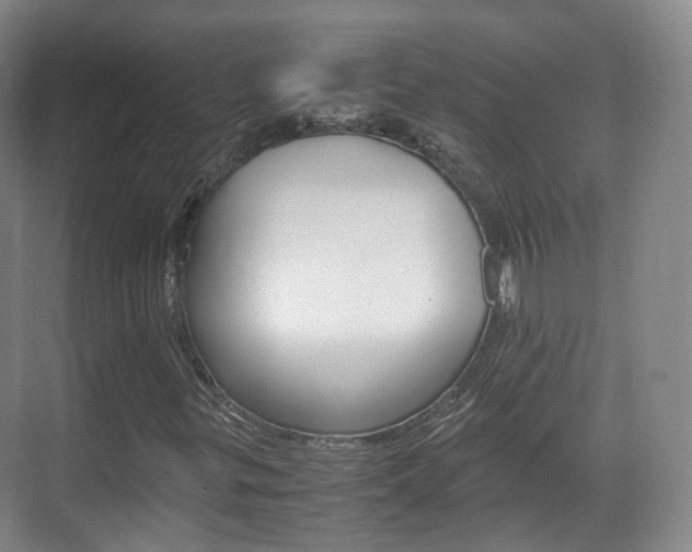 X0000071761299200606300905