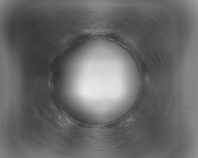 X0000071761300200606300905