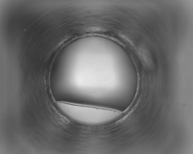X0000071761305200606300905
