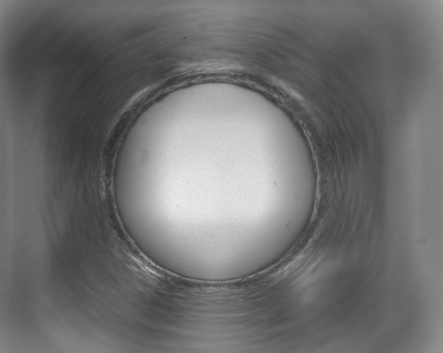X0000071761306200606300905