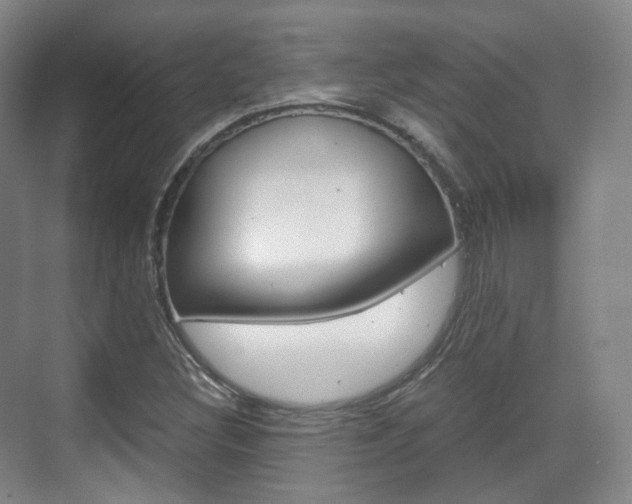 X0000071761308200606300905