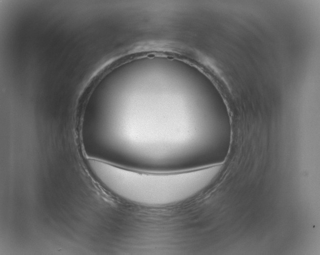 X0000071761312200606300905