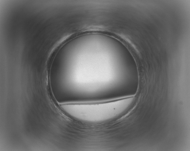 X0000071761317200606300906