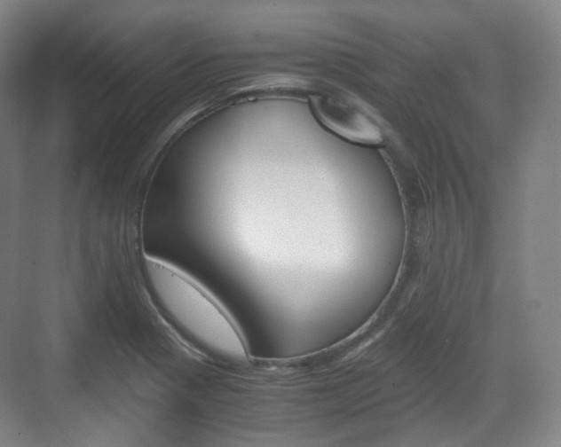 X0000071761321200606300906