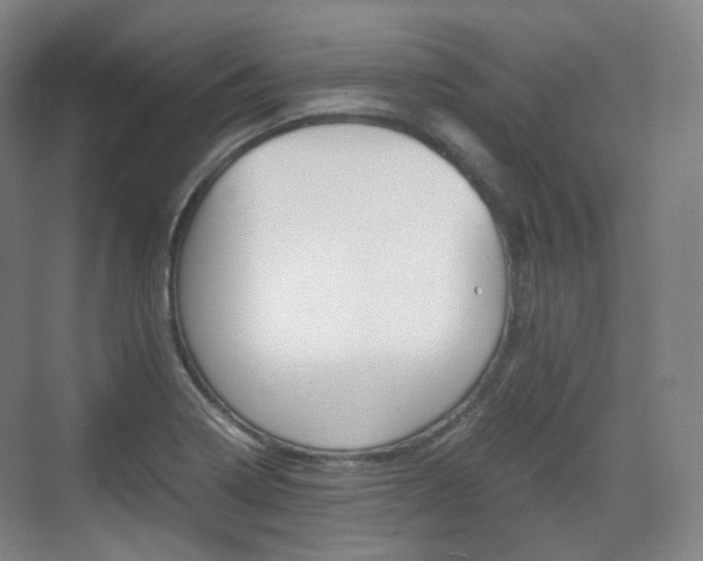 X0000071761322200606300906