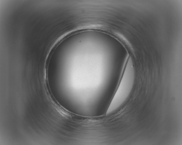 X0000071761324200606300906
