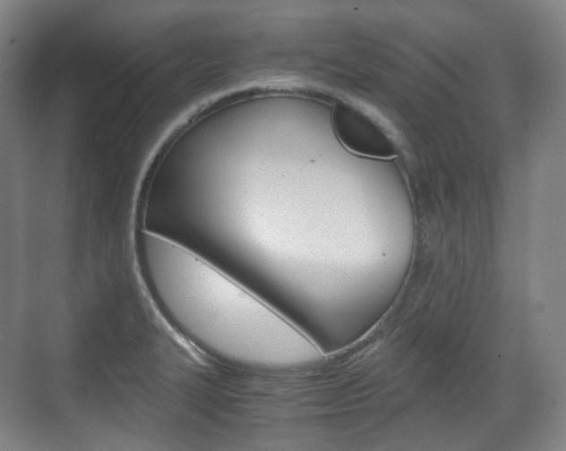 X0000071761327200606300906