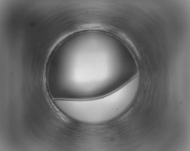 X0000071761328200606300906