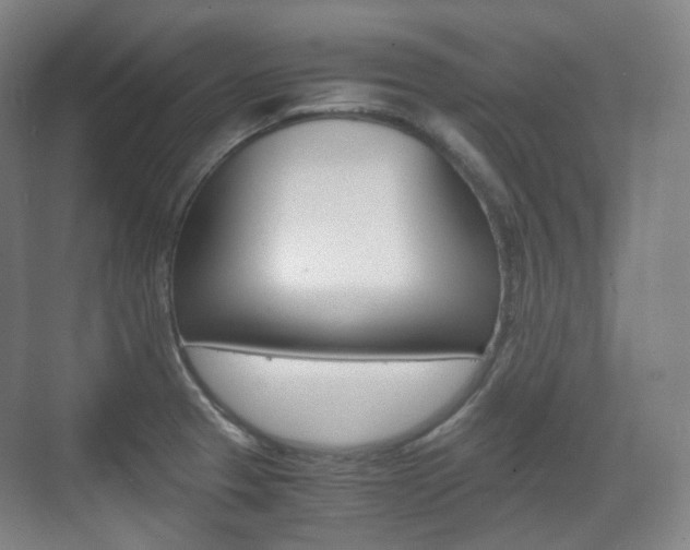 X0000071761329200606300906