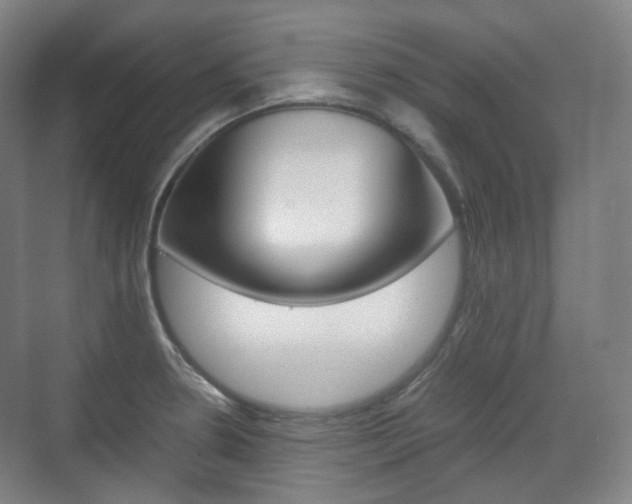 X0000071761330200606300906
