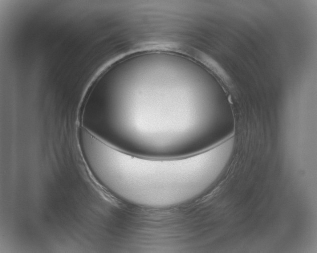 X0000071761332200606300906