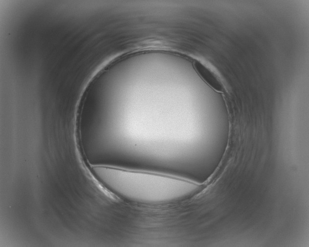 X0000071761333200606300906