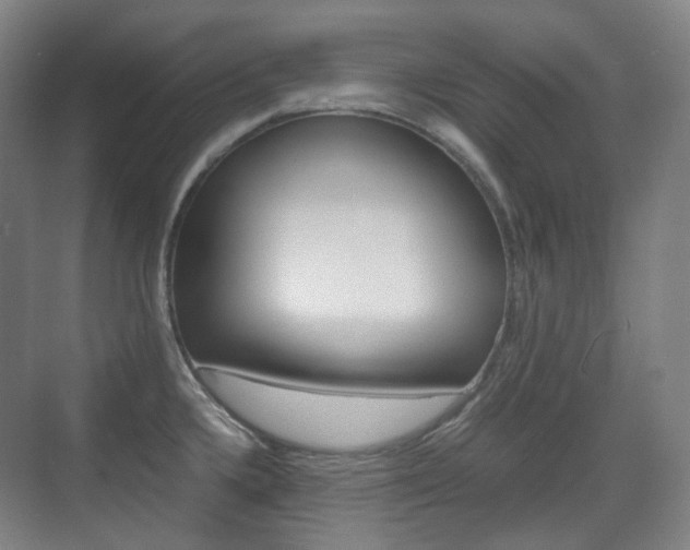 X0000071761336200606300906
