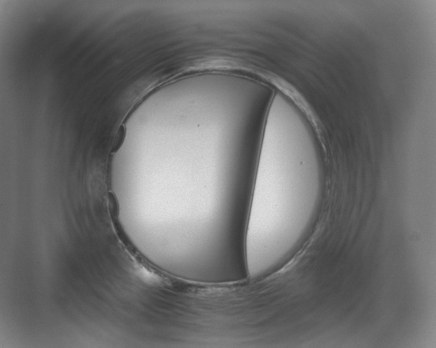 X0000071761337200606300906