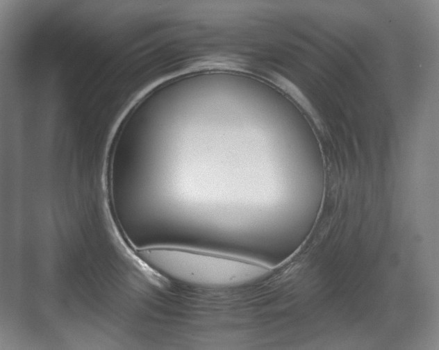 X0000071761339200606300906