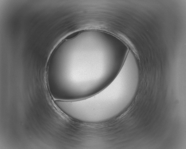 X0000071761340200606300906