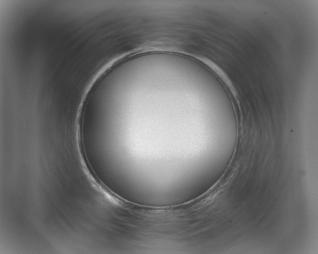 X0000071761341200606300906