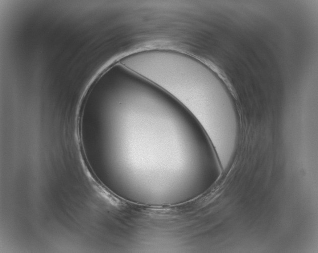 X0000071761342200606300906