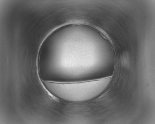 X0000071761343200606300906