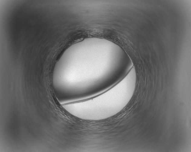 X0000071761345200606300905