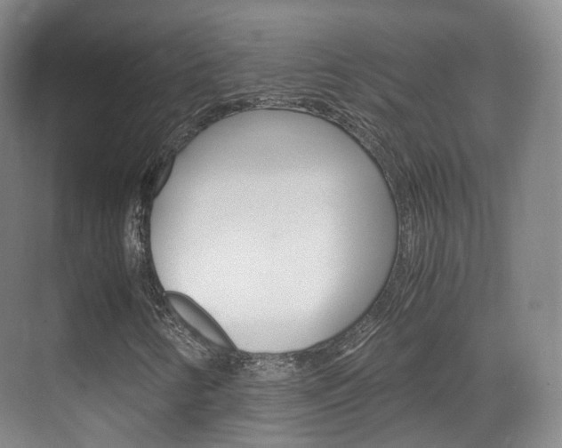 X0000071761346200606300905