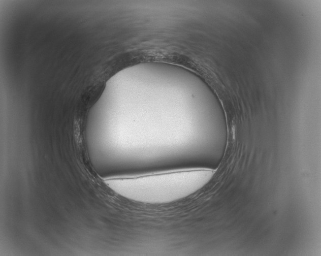 X0000071761347200606300905