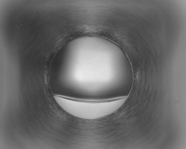 X0000071761348200606300905