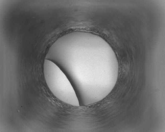 X0000071761350200606300905