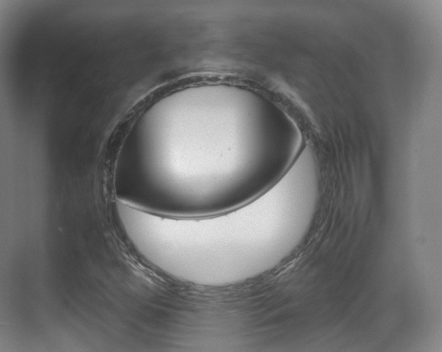 X0000071761352200606300905